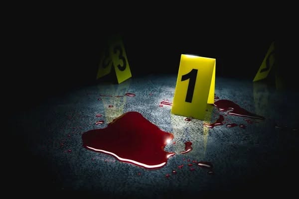 PJ detém homem de 36 anos por homicídio em Melhorada, Mé-Zochi